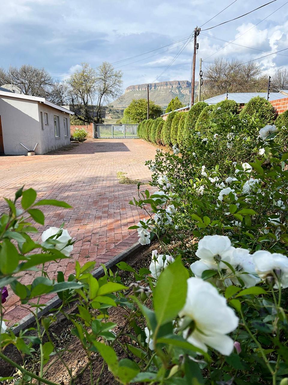 Village Lodge Harrismith Eksteriør billede